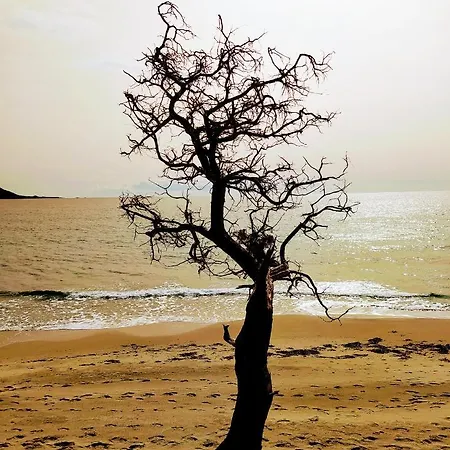 Casa Claudia * 빌라시미우스